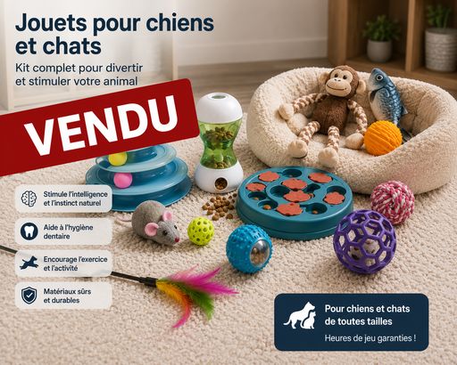 Lot de jouets interactifs pour chien et chat