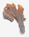 Friandises Dinde Nature (Haut de cuisse)