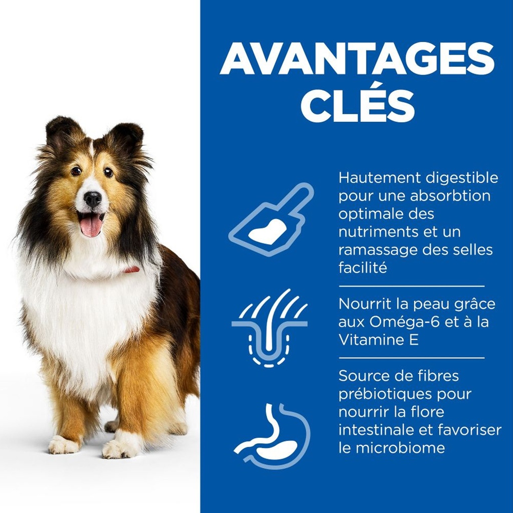 Hill’s Science Plan Aliment Pour Chien Adulte De Taille Medium Et Grande Sensitive Stomach and Skin Au Poulet 14kg