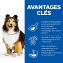 Hill’s Science Plan Aliment Pour Chien Adulte De Taille Medium Et Grande Sensitive Stomach and Skin Au Poulet 14kg