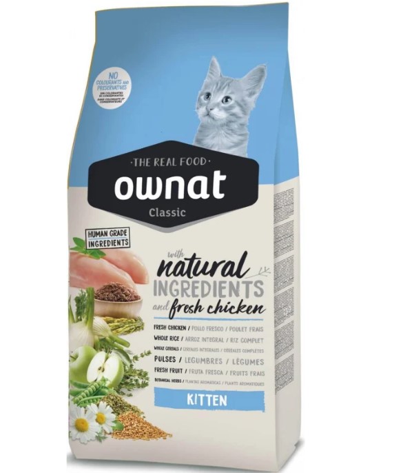 Ownat kitten 
