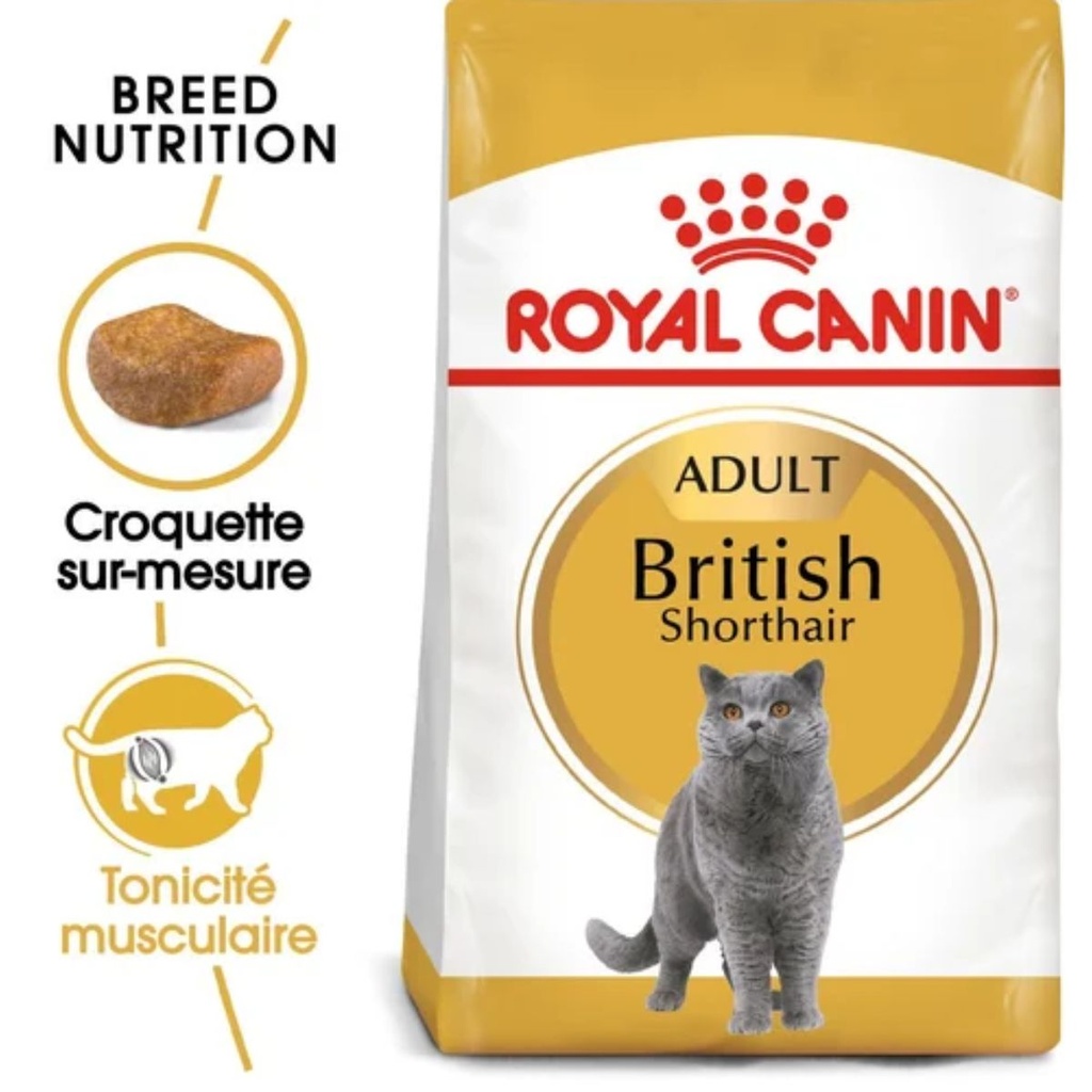 Royal Canin British Shorthair Adulte 2 Kg