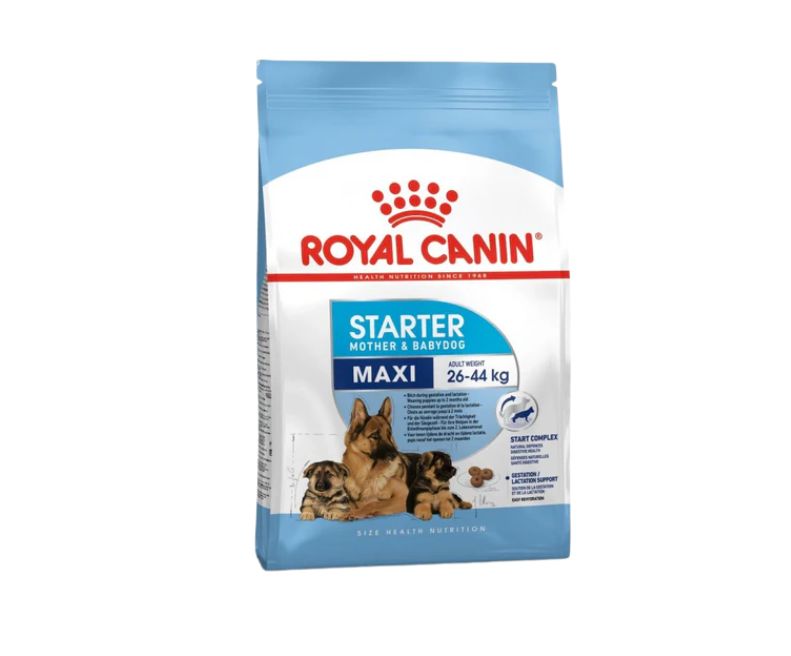 Royal Canin Maxi Starter M&B Adult Dog - 4 Kg