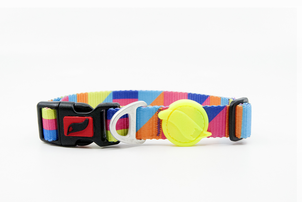 Collier Spirit Small pour animaux
