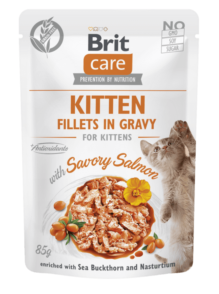 Brit Care Fillets in Gravy with Savory Salmon – 85g