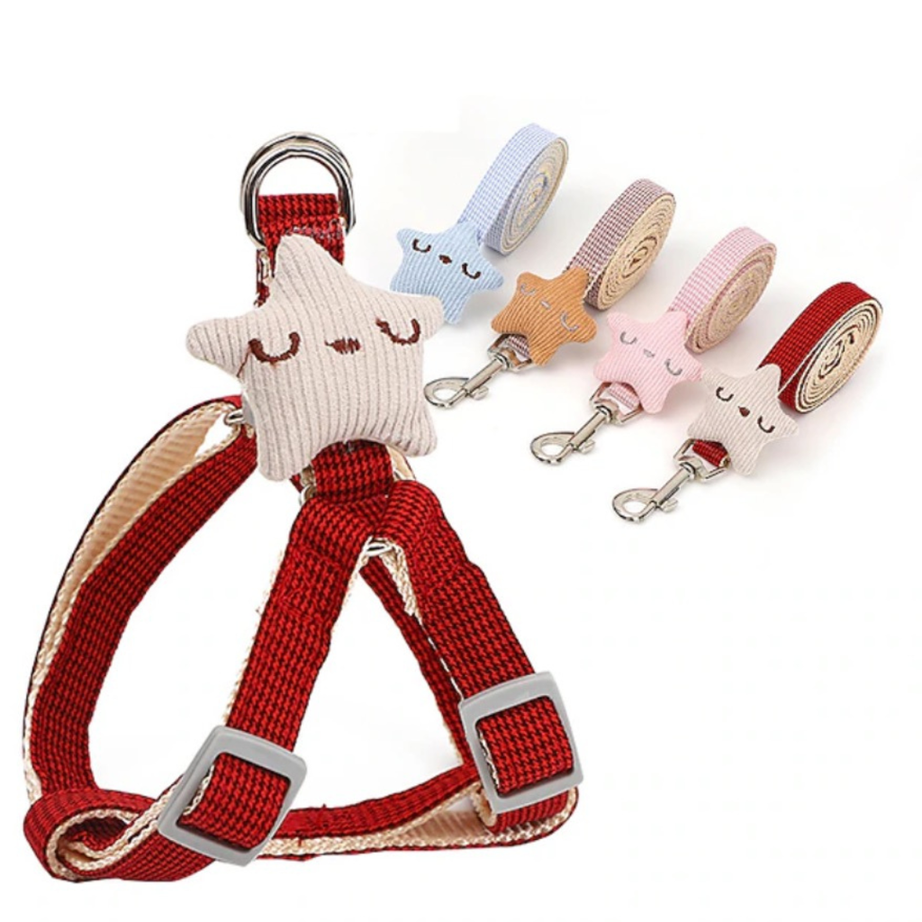 Harnais avec Laisse pour Chien et Chat – Set Ajustable