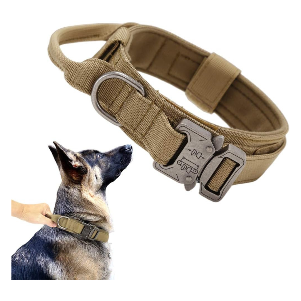 Collier pour Chien Robuste – Nylon Renforcé avec Doublure Souple