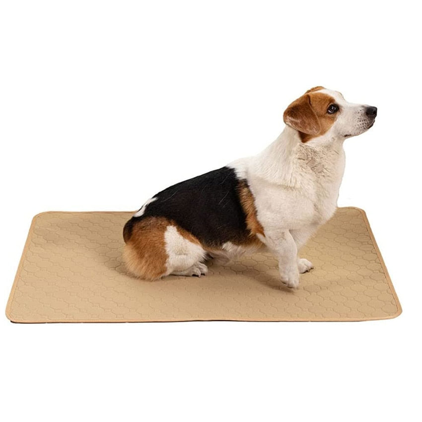 Tapis absorbant pour dressage de chiens, tapis d'urine lavable