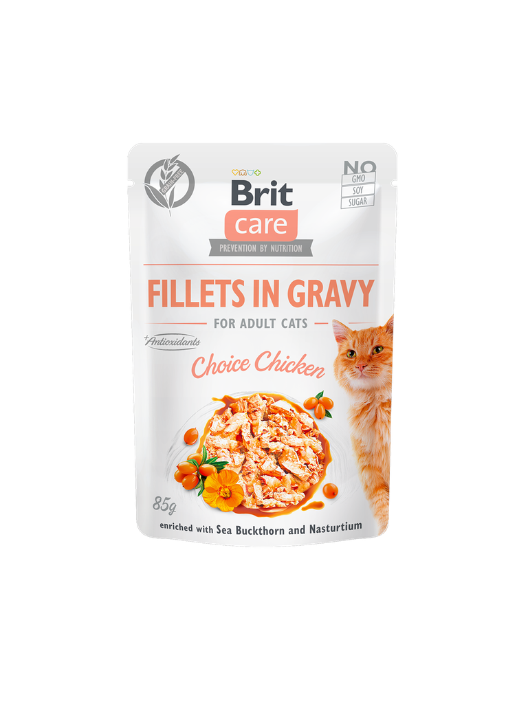 BritCare Pouch Chicken 85G