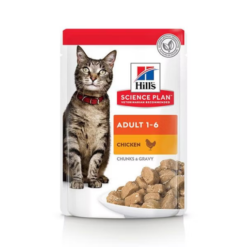 Hill’s Paté Adult 85G