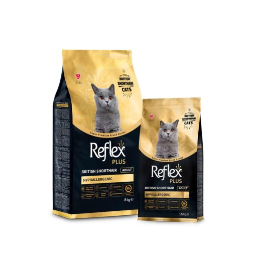 Reflex Plus Premium British Shorthair Adulte Poulet 1,5 Kg – Croquettes Chat à Casablanca