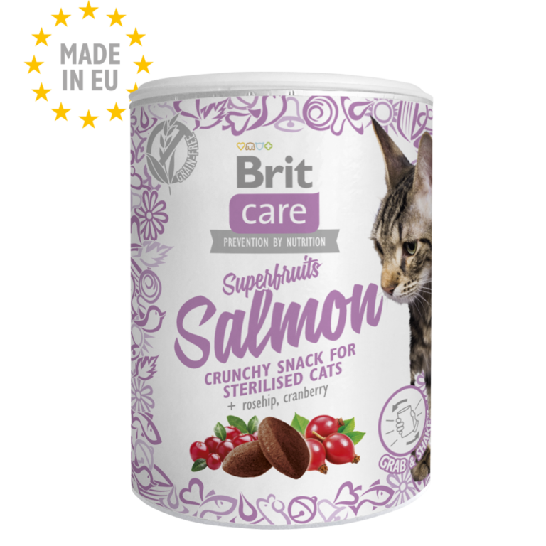 Brit Care Superfruits Salmon 100g – Friandise Chien au Saumon à Casablanca