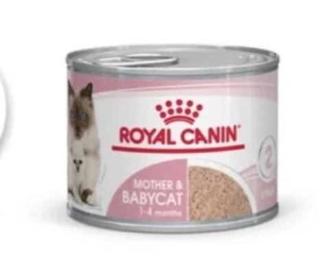 Royal Canin Mousse Mère et Chaton — 195 g