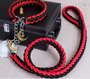 Pack Laisse & Collier Robuste — Red/Blue