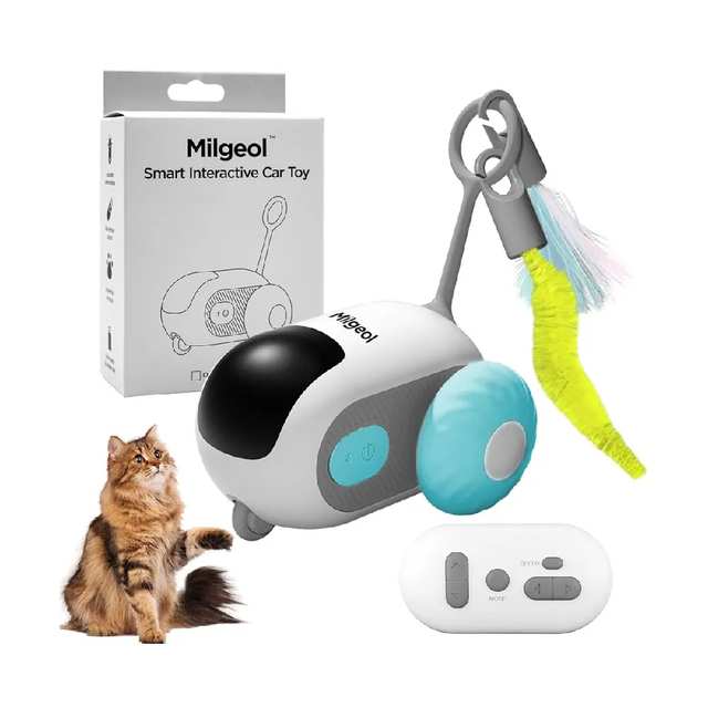 Smart interactive car toy