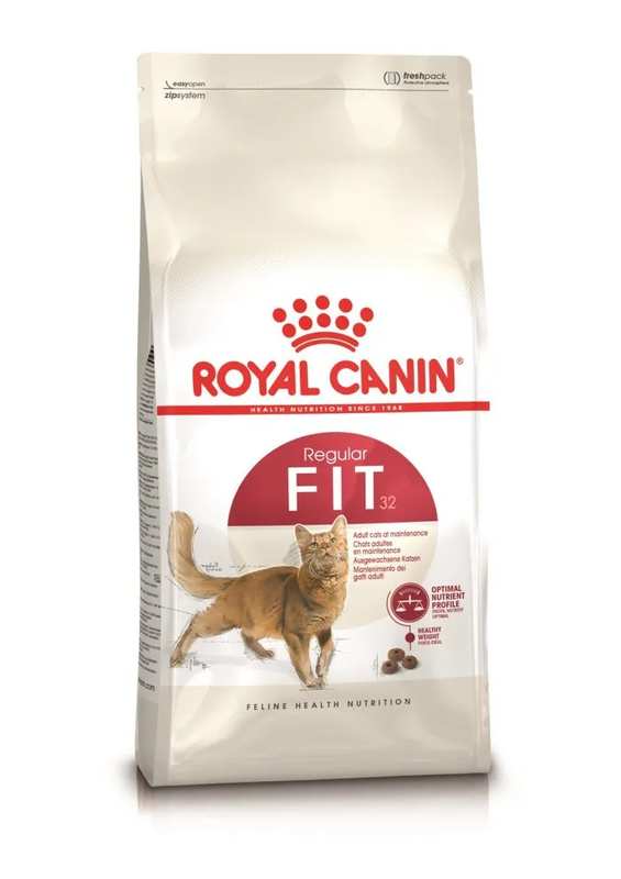 Royal Canin Croquettes chat fit 32 10kg