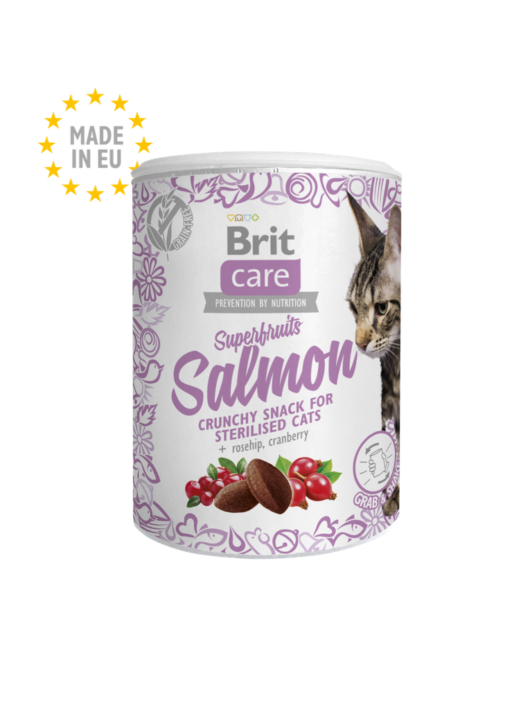 Brit Care Pour Chat Snack Superfruits Salmon 100g