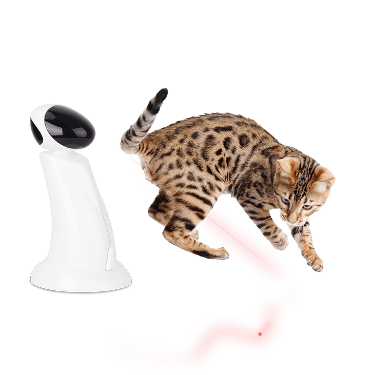 Jouet Pour Chat AFP Interactif  Faisceau Laser