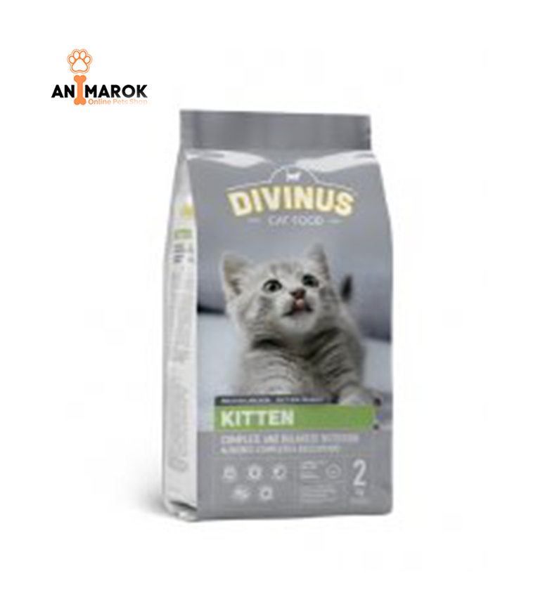 DIVINUS Kitten