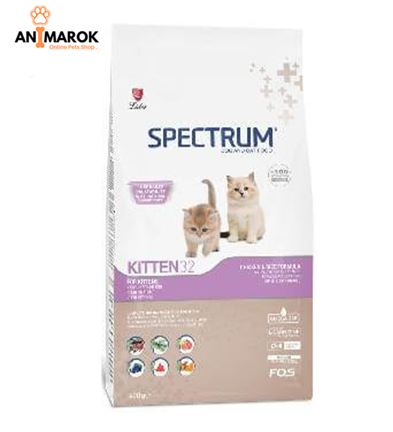 SPECTRUM STARTER 32