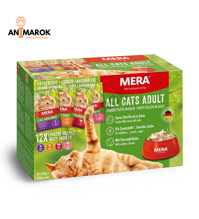Mera Cats Multibox