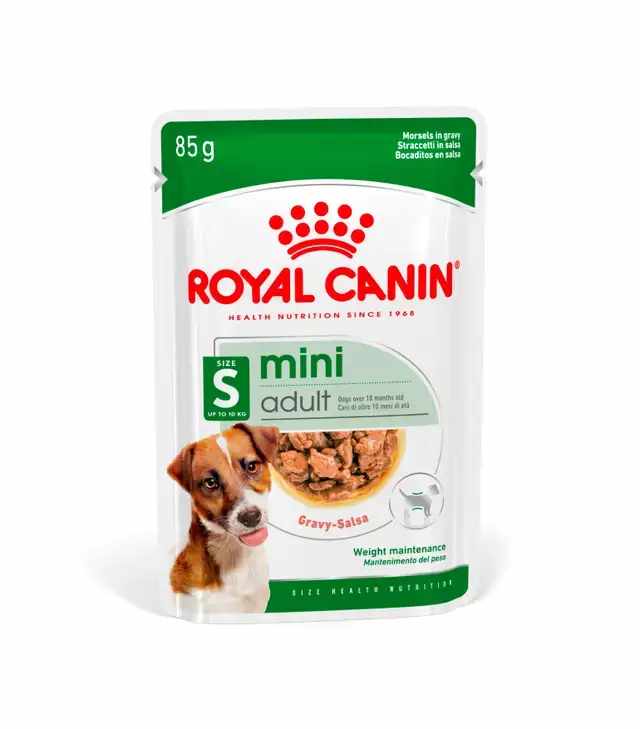 Croquettes Royal Canin Maltese Adult pour chiens de race bichon maltais.