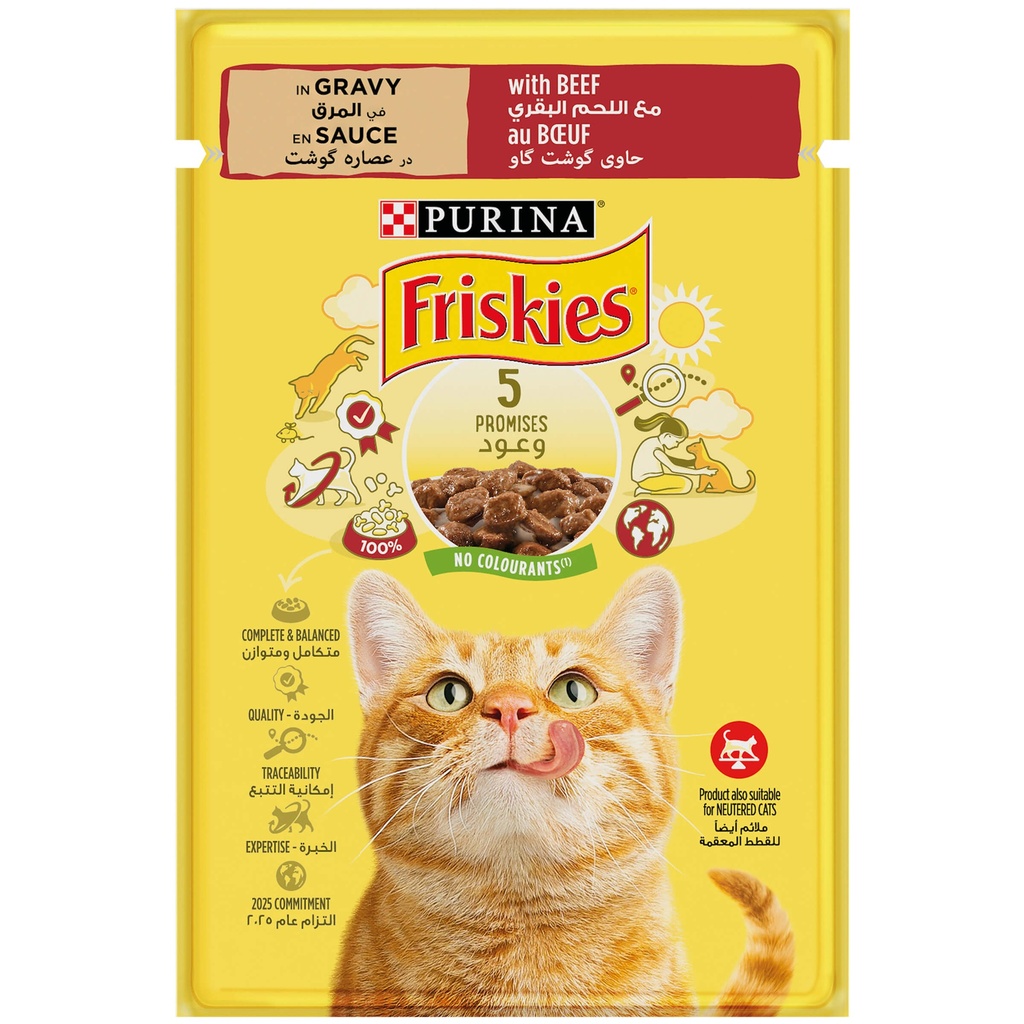 Friskies Cat Beef & Chicken 300g