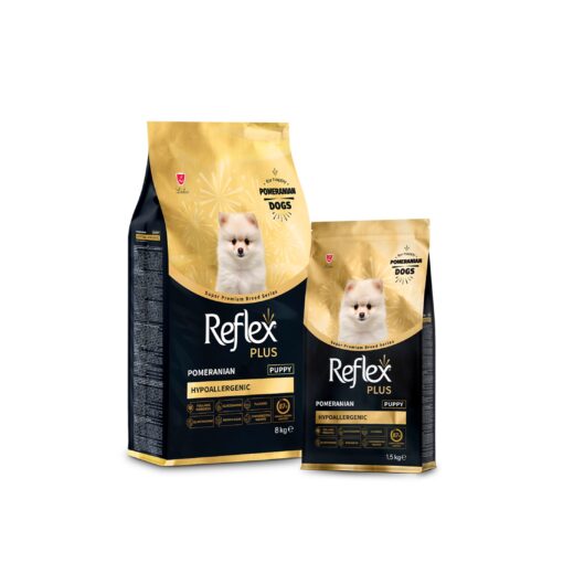 Reflex premium labrador retriever puppy