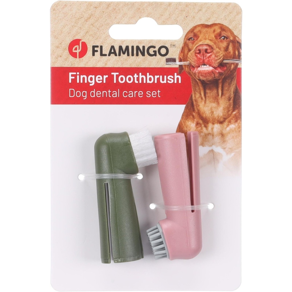 PEIGNE BAMBOU 31 DENTS -S