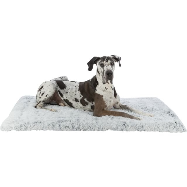 TAPIS HYGIENIQ GRIS MAIS TOIL
