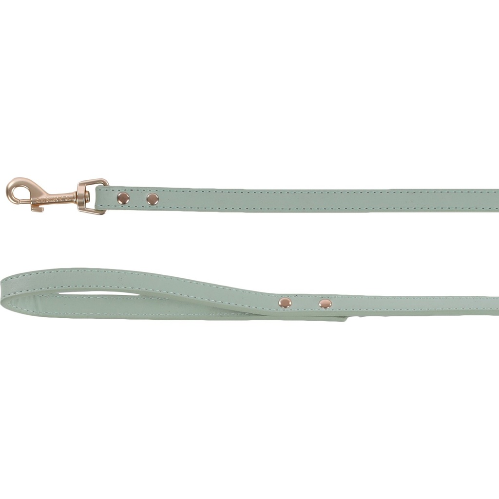 LAISSE NYLON SHINY VERT