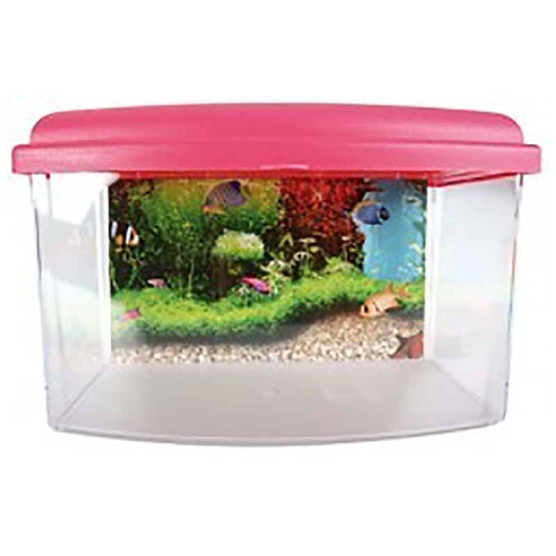 AQUA TRAVEL BOX II SMALL 22CM