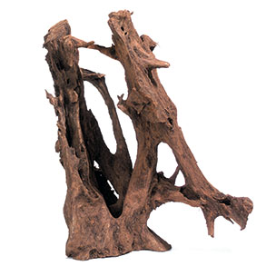 RACINE MANGROVE BOIS M 20-38CM