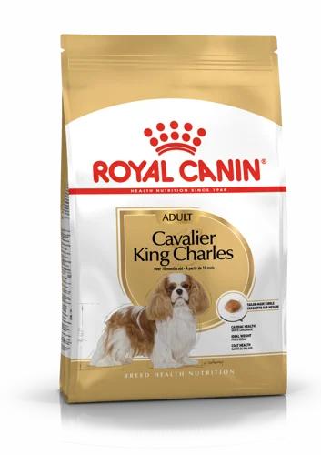 Royal Canin Cavalier King Charles Adulte 1,5 kg
