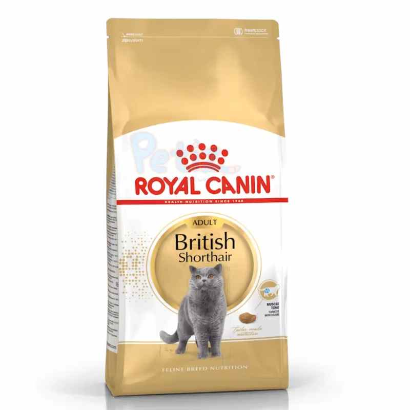 Royal Canin British Shorthair Adulte 2 Kg