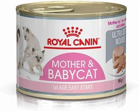 Royal Canin Mother Babycat Mousse pour chatte et chaton 195 g