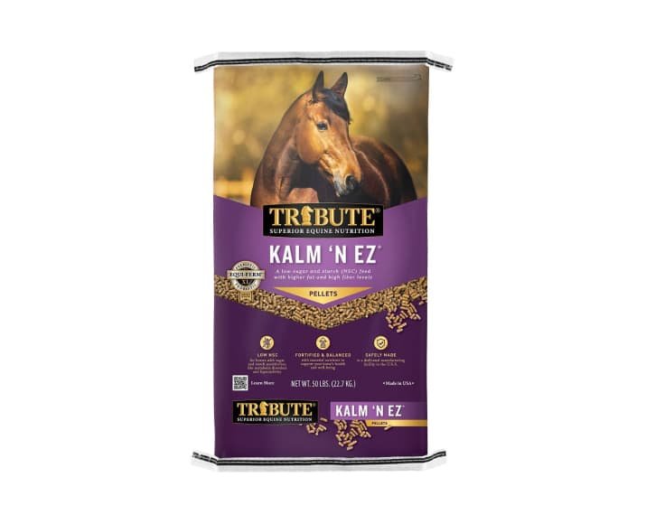 Molasses-Free Horse Feed