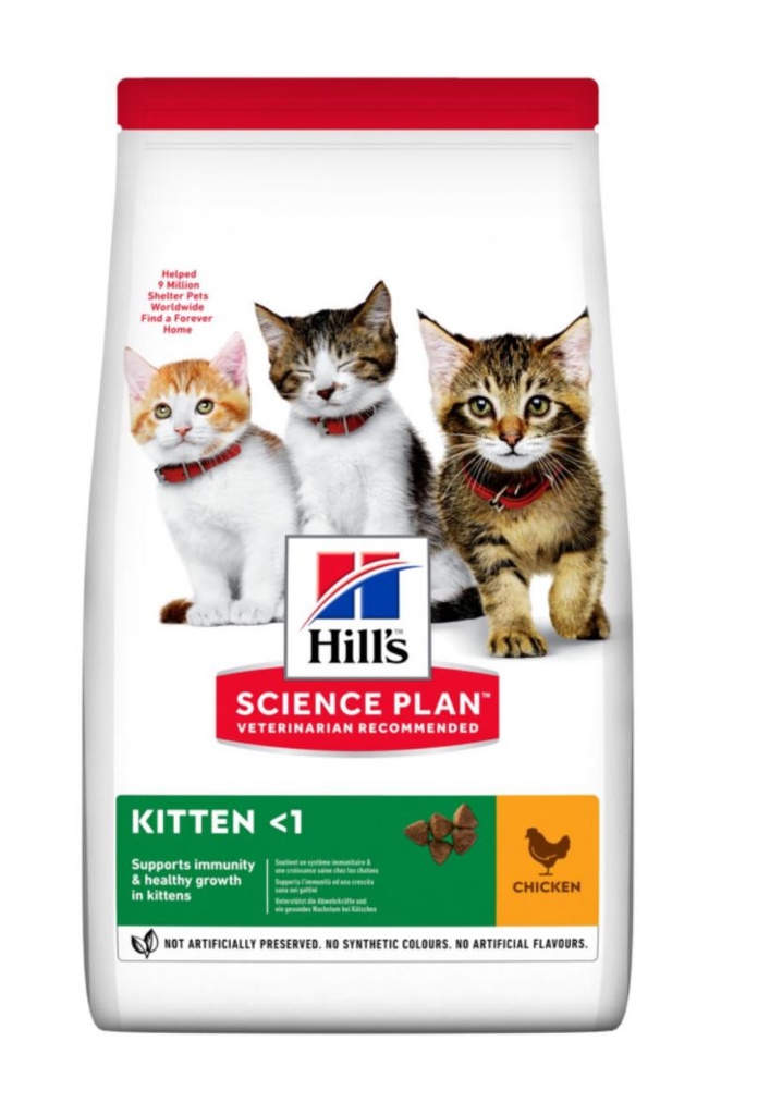 KITTEN <1