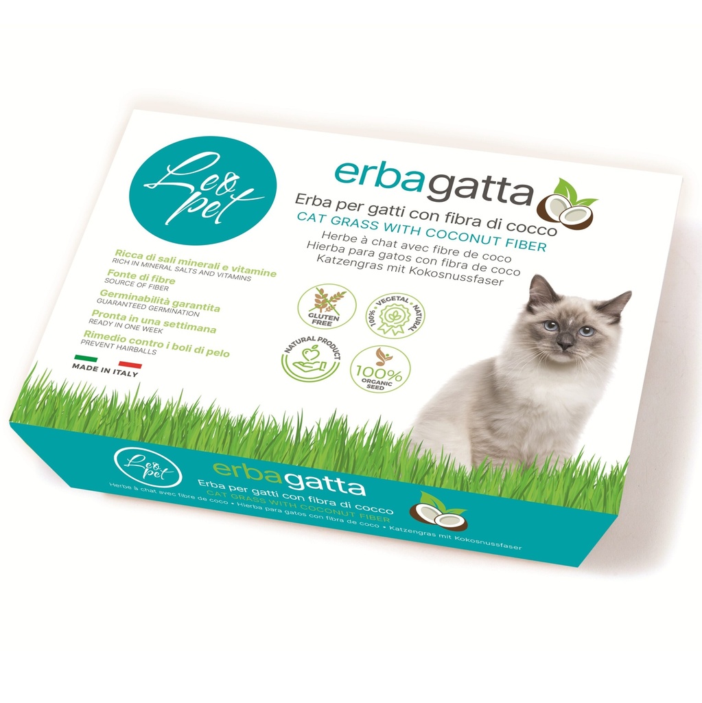 LeoPet - Herbe à Chats - Coco-