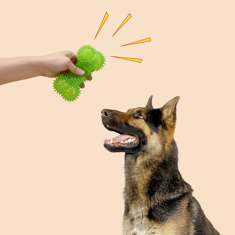 Os en silicone pour petit chien (lumineux et fait du son)