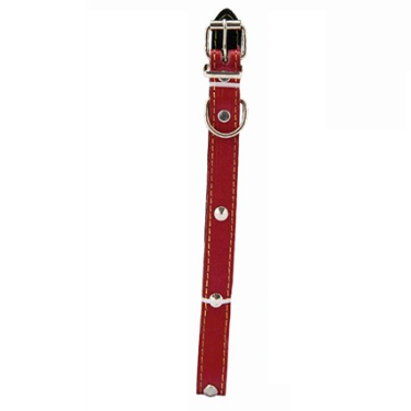 Collier pour Chien Moyen Cuire 48cm