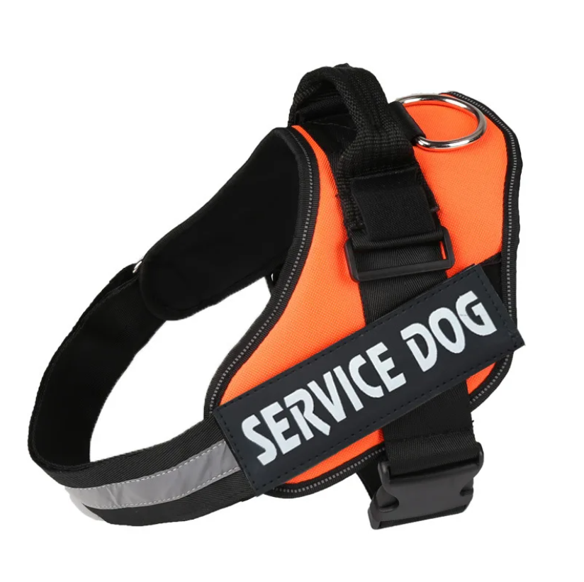 Harnais noir hyper confortable pour chien (taille S | M | L | XL | XXL) - M, Orange
