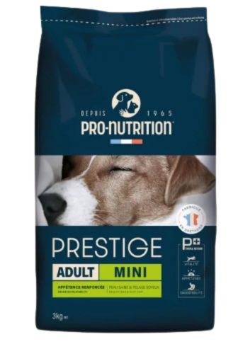 Adult Mini | Chien adulte de petite taille