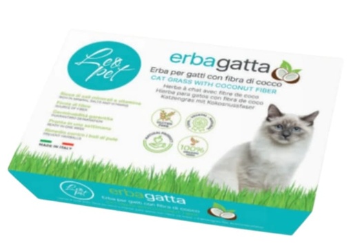 LeoPet Herbe à Chat Coco 100g