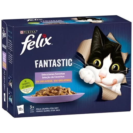 Felix Fantastic Selecciones Favoritas 12x85g