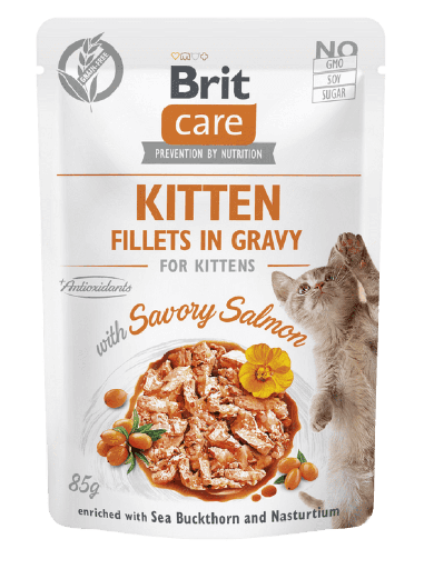 Brit Care Fillets in Gravy with Savory Salmon – 85g