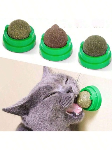 Boule herbe à chats sur support adhésif