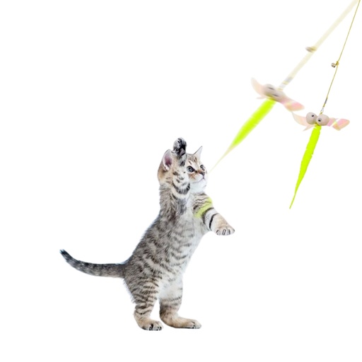 [jouet-chat-suspendu-corde-elastique] Jouet Suspendu pour Chat – Corde Élastique Réglable avec Souris