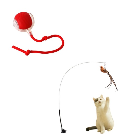 [cf81e7f8-cf5a-4f61-9dd2-5bf840065544] Pack Jeu Ultime pour Chat – Canne à Plumes + Balle Intelligente