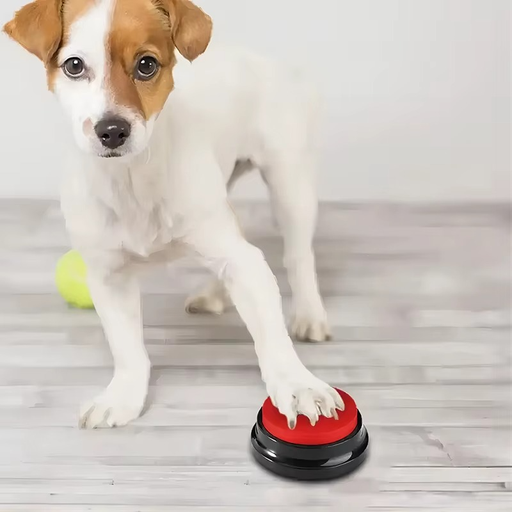 [bouton-vocal-animaux] Bouton Vocal d’Entraînement pour Animaux – Enregistrement 30 Sec